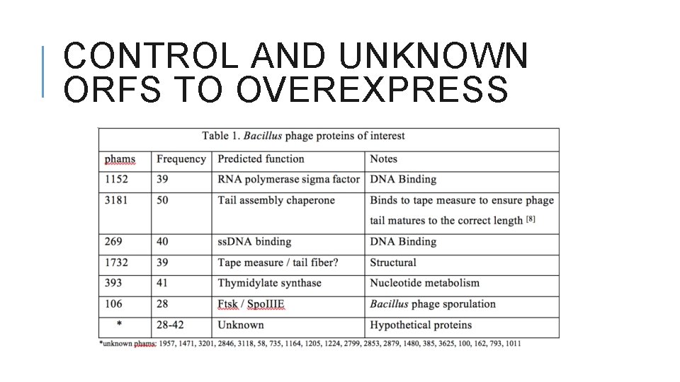 CONTROL AND UNKNOWN ORFS TO OVEREXPRESS 