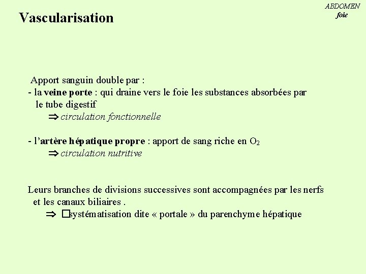 Vascularisation ABDOMEN foie Apport sanguin double par : - la veine porte : qui