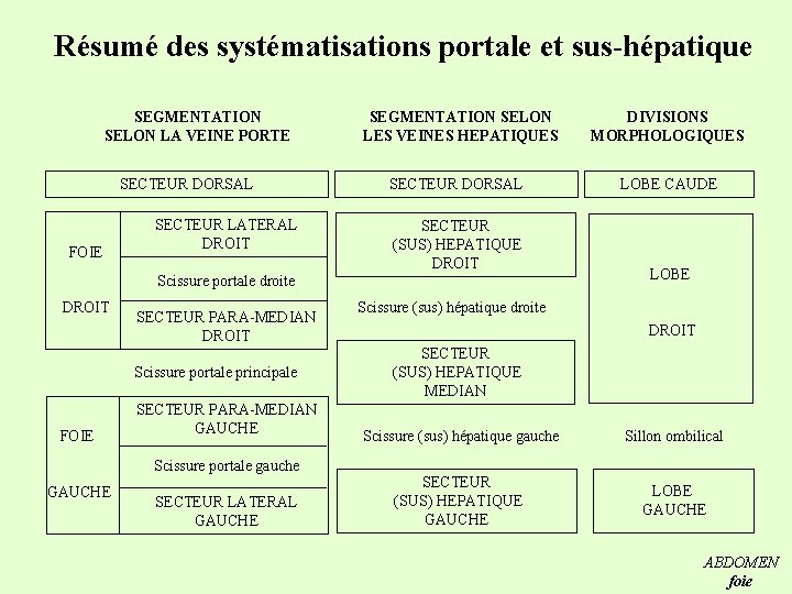 Résumé des systématisations portale et sus-hépatique SEGMENTATION SELON LA VEINE PORTE SECTEUR DORSAL FOIE