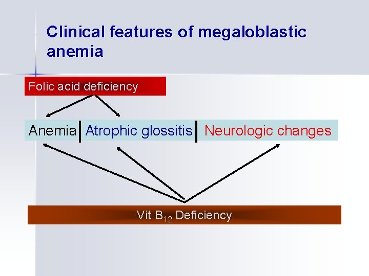 Clinical features of megaloblastic anemia Folic acid deficiency Anemia Atrophic glossitis Neurologic changes Vit