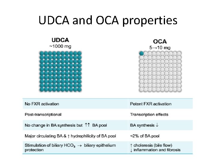 UDCA and OCA properties 