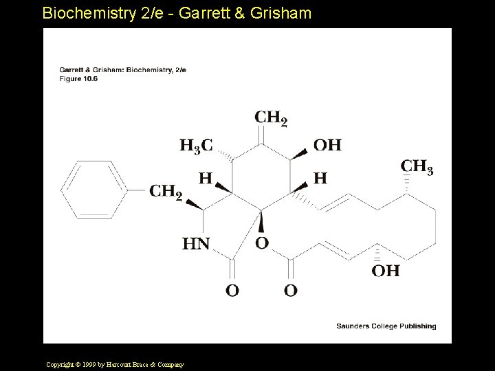 Biochemistry 2/e - Garrett & Grisham Copyright © 1999 by Harcourt Brace & Company