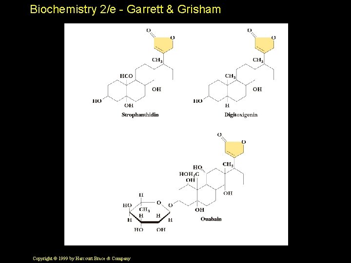 Biochemistry 2/e - Garrett & Grisham Copyright © 1999 by Harcourt Brace & Company