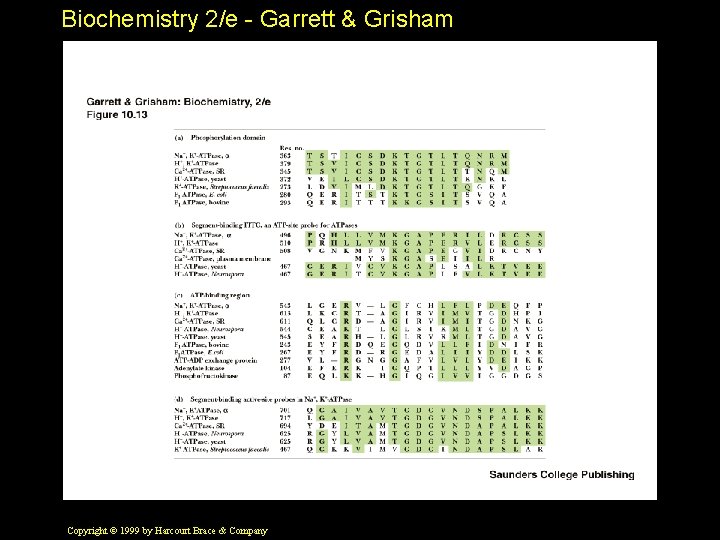 Biochemistry 2/e - Garrett & Grisham Copyright © 1999 by Harcourt Brace & Company