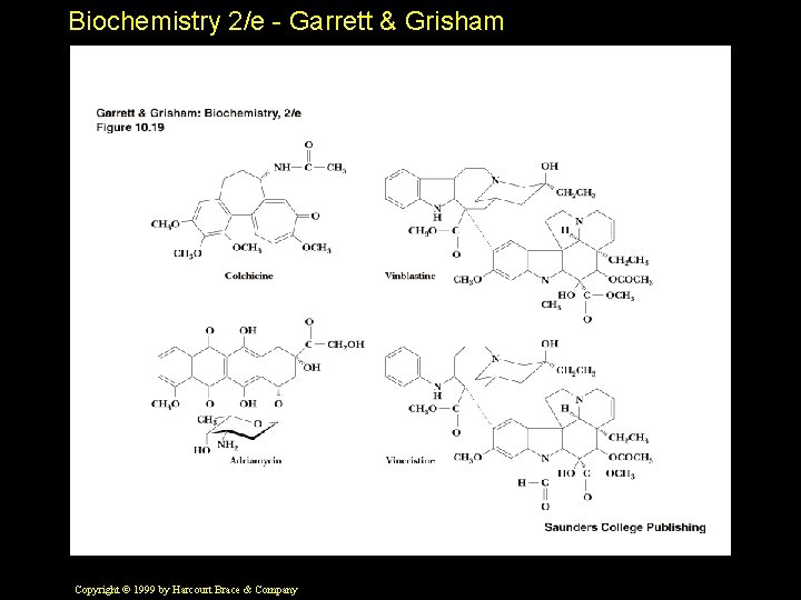 Biochemistry 2/e - Garrett & Grisham Copyright © 1999 by Harcourt Brace & Company