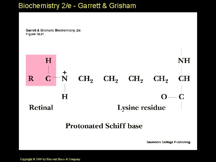 Biochemistry 2/e - Garrett & Grisham Copyright © 1999 by Harcourt Brace & Company