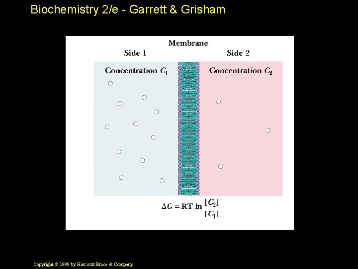 Biochemistry 2/e - Garrett & Grisham Copyright © 1999 by Harcourt Brace & Company