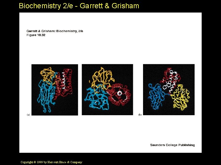 Biochemistry 2/e - Garrett & Grisham Copyright © 1999 by Harcourt Brace & Company