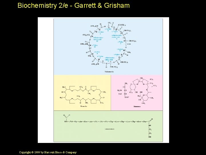 Biochemistry 2/e - Garrett & Grisham Copyright © 1999 by Harcourt Brace & Company