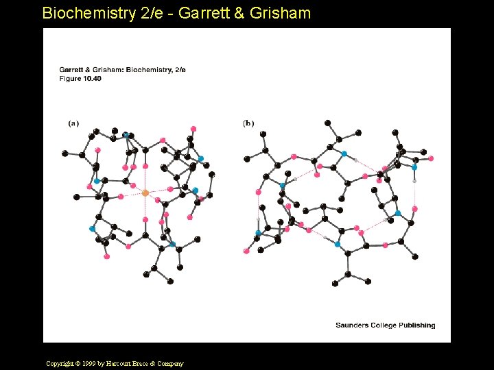 Biochemistry 2/e - Garrett & Grisham Copyright © 1999 by Harcourt Brace & Company