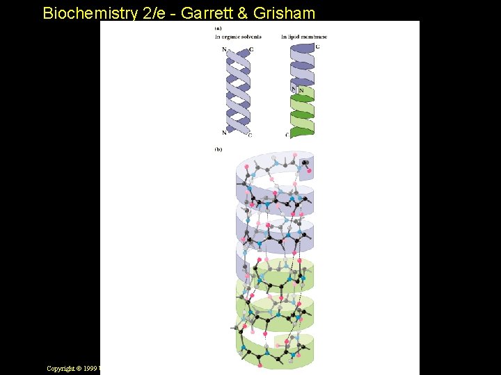 Biochemistry 2/e - Garrett & Grisham Copyright © 1999 by Harcourt Brace & Company