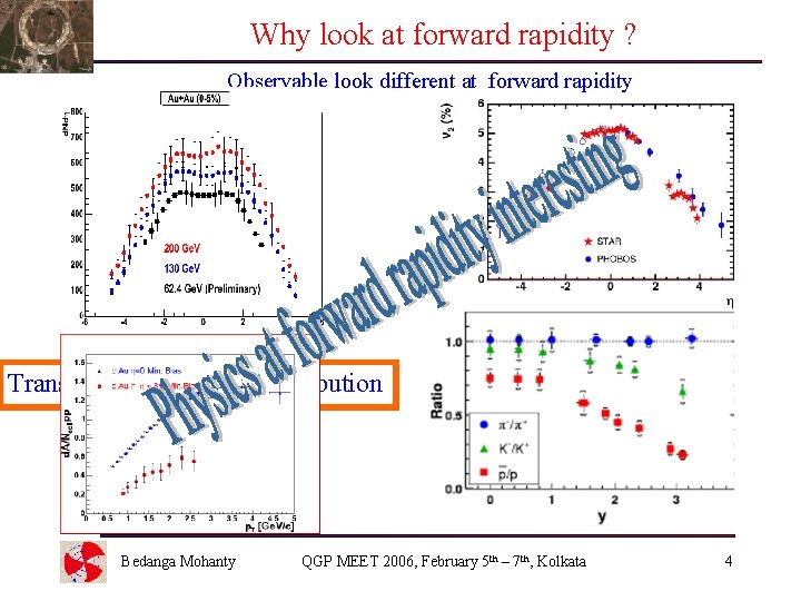 Why look at forward rapidity ? Observable look different at forward rapidity Rapidity distribution