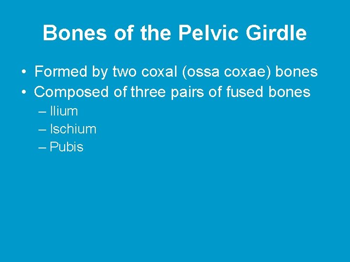 Bones of the Pelvic Girdle • Formed by two coxal (ossa coxae) bones • Bones of the Pelvic Girdle • Formed by two coxal (ossa coxae) bones •