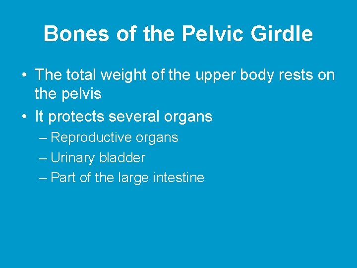 Bones of the Pelvic Girdle • The total weight of the upper body rests Bones of the Pelvic Girdle • The total weight of the upper body rests