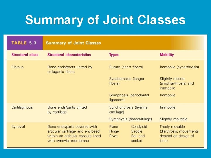 Summary of Joint Classes [Insert Table 5. 3 here] Table 5. 3 