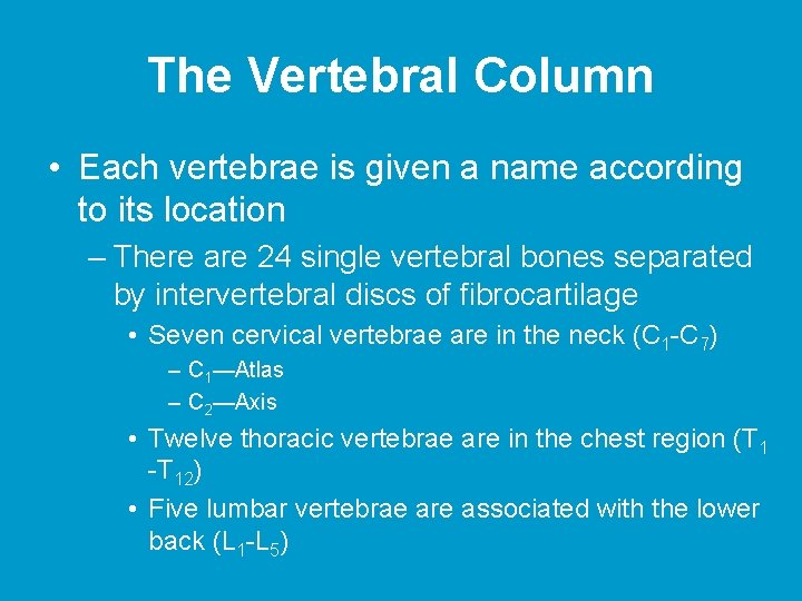 The Vertebral Column • Each vertebrae is given a name according to its location The Vertebral Column • Each vertebrae is given a name according to its location