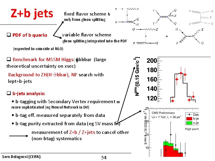 Z+b jets q PDF of b quarks fixed flavor scheme b only from gluon
