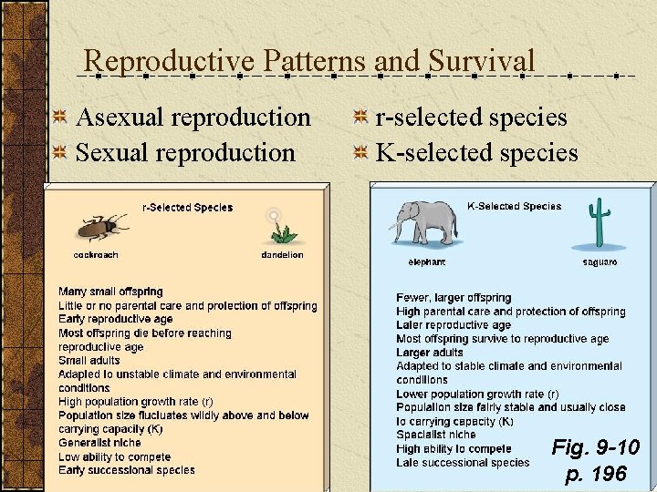 Reproductive Patterns and Survival Asexual reproduction Sexual reproduction r-selected species K-selected species Fig. 9