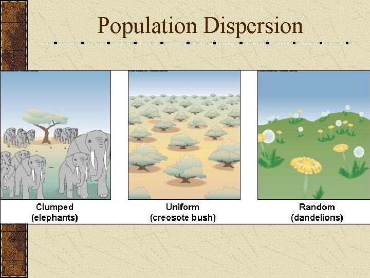 Population Dispersion 