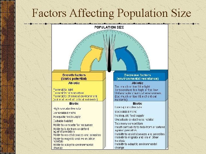 Factors Affecting Population Size 