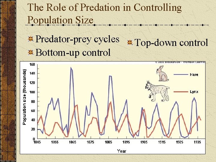 The Role of Predation in Controlling Population Size Predator-prey cycles Bottom-up control Top-down control