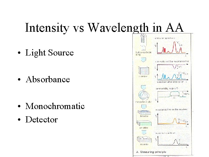 Intensity vs Wavelength in AA • Light Source • Absorbance • Monochromatic • Detector