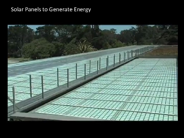 Solar Panels to Generate Energy 