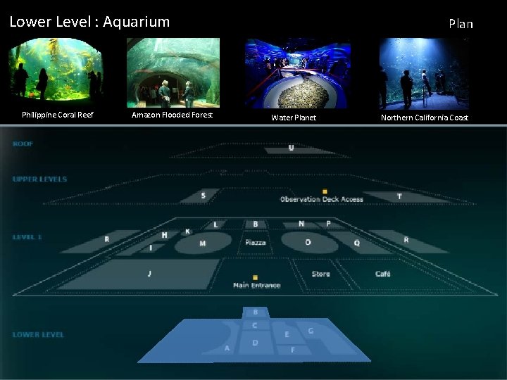 Lower Level : Aquarium Philippine Coral Reef Amazon Flooded Forest Plan Water Planet Northern