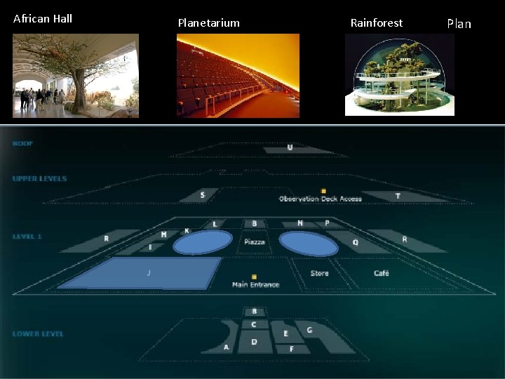 African Hall Planetarium Rainforest Plan 