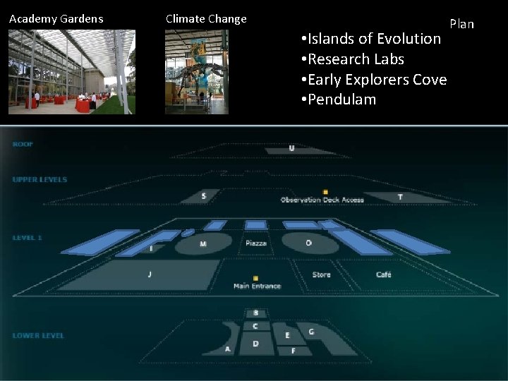 Academy Gardens Climate Change • Islands of Evolution • Research Labs • Early Explorers