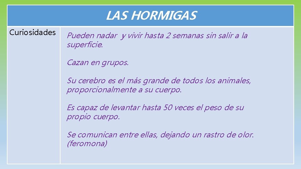 LAS HORMIGAS Curiosidades Pueden nadar y vivir hasta 2 semanas sin salir a la