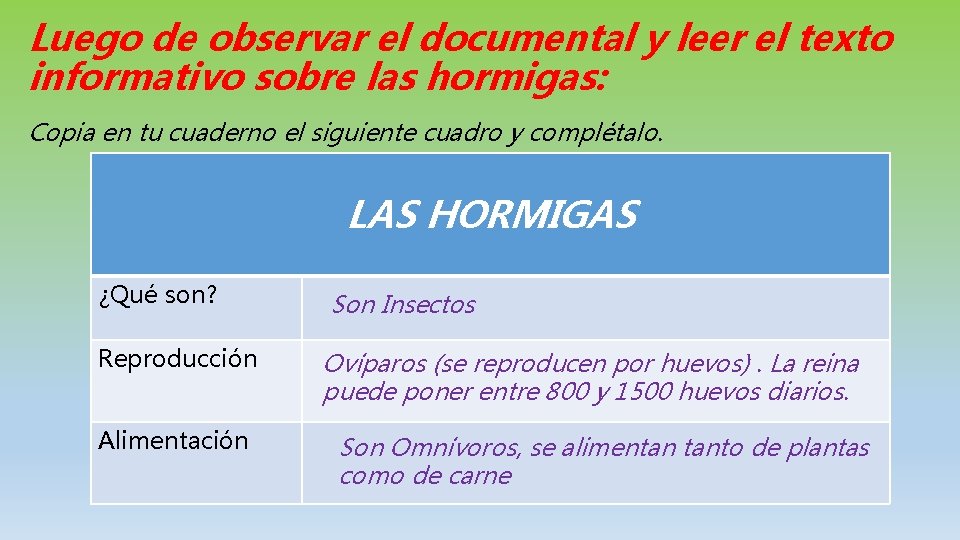 Luego de observar el documental y leer el texto informativo sobre las hormigas: Copia