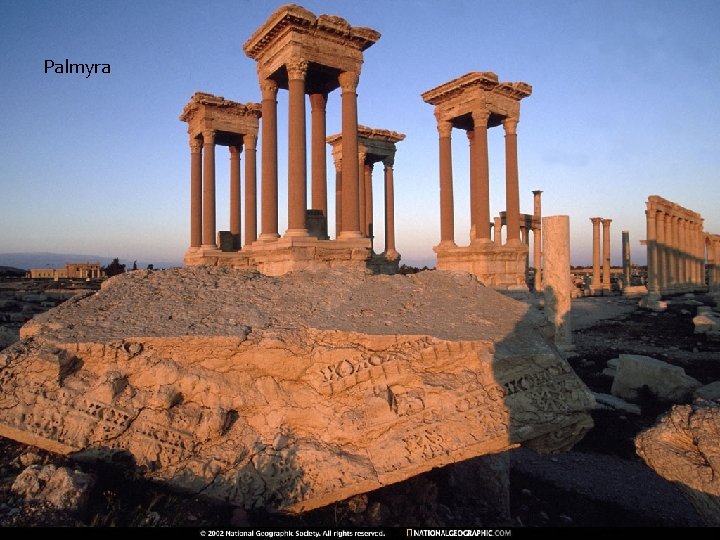 Palmyra 