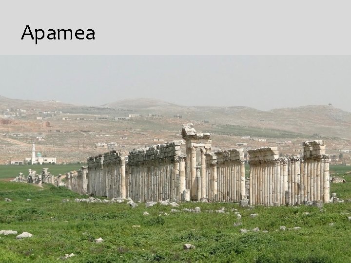 Apamea 