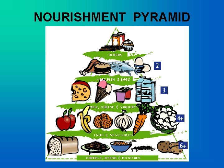  NOURISHMENT PYRAMID 