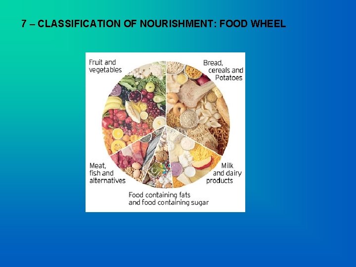 7 – CLASSIFICATION OF NOURISHMENT: FOOD WHEEL 