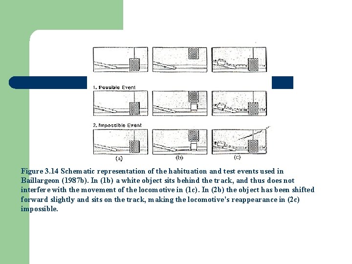 Figure 3. 14 Schematic representation of the habituation and test events used in Baillargeon