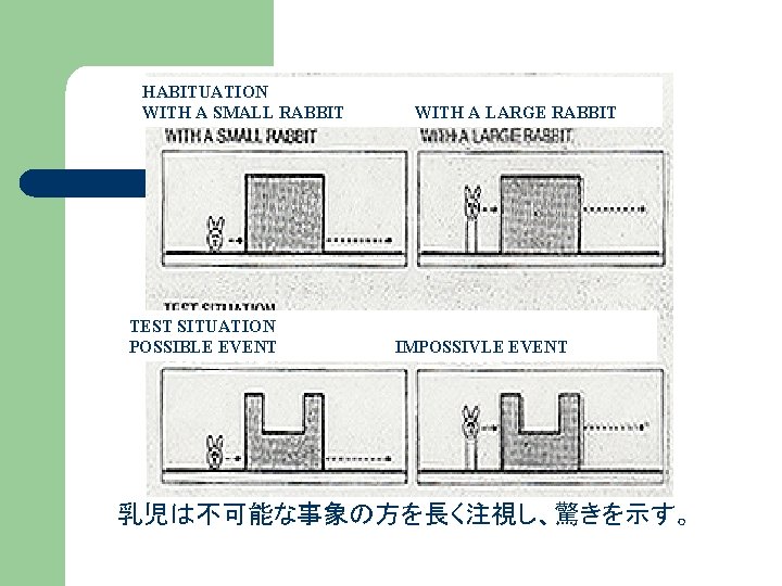 HABITUATION WITH A SMALL RABBIT TEST SITUATION POSSIBLE EVENT WITH A LARGE RABBIT IMPOSSIVLE