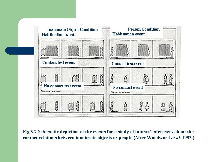 Inanimate Object Condition Habituation event Person Condition Habituation event Contact test event No-contact event