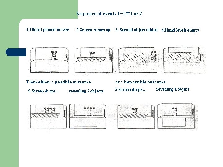 Sequence of events 1+1＝ 1 or 2 1. Object planed in case 2. Screen