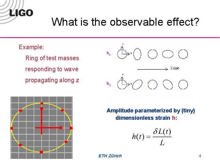 What is the observable effect? Example: Ring of test masses responding to wave propagating