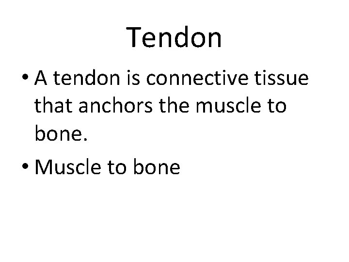 Tendon • A tendon is connective tissue that anchors the muscle to bone. •