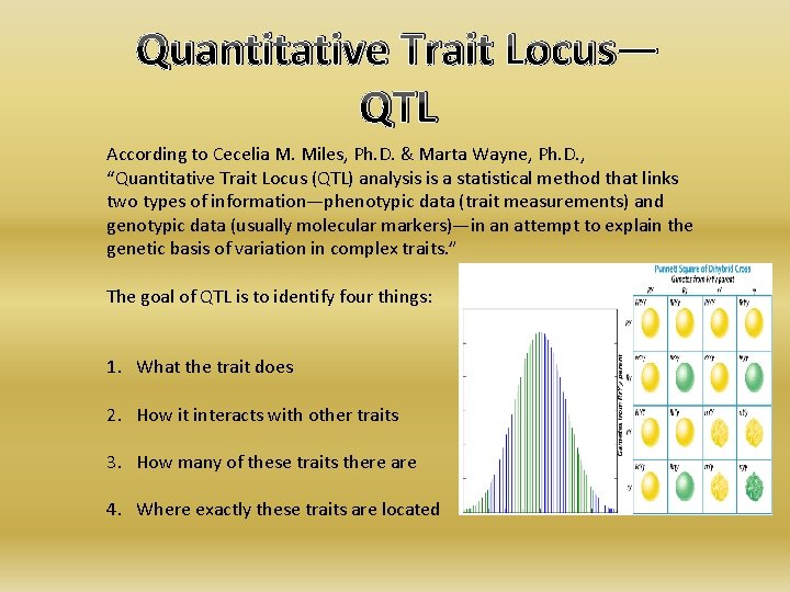 Quantitative Trait Locus— QTL According to Cecelia M. Miles, Ph. D. & Marta Wayne,