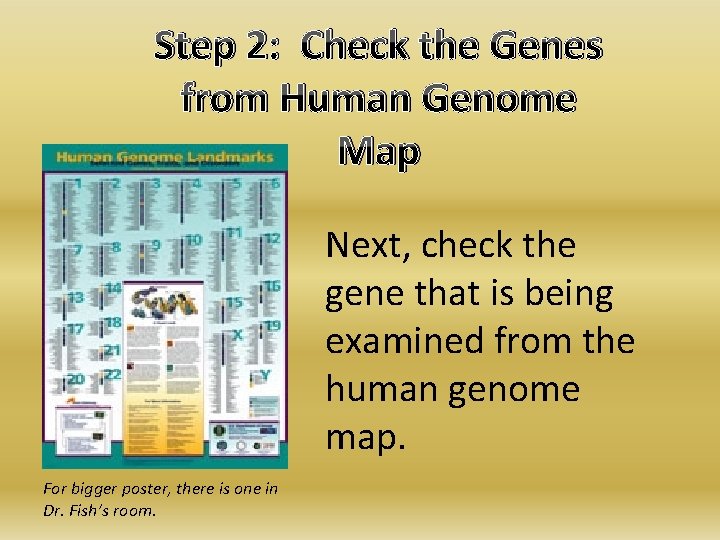 Step 2: Check the Genes from Human Genome Map Next, check the gene that