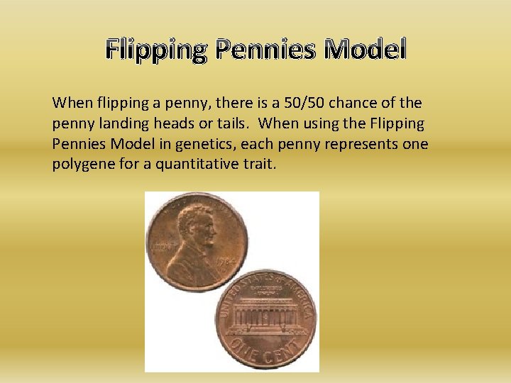 Flipping Pennies Model When flipping a penny, there is a 50/50 chance of the