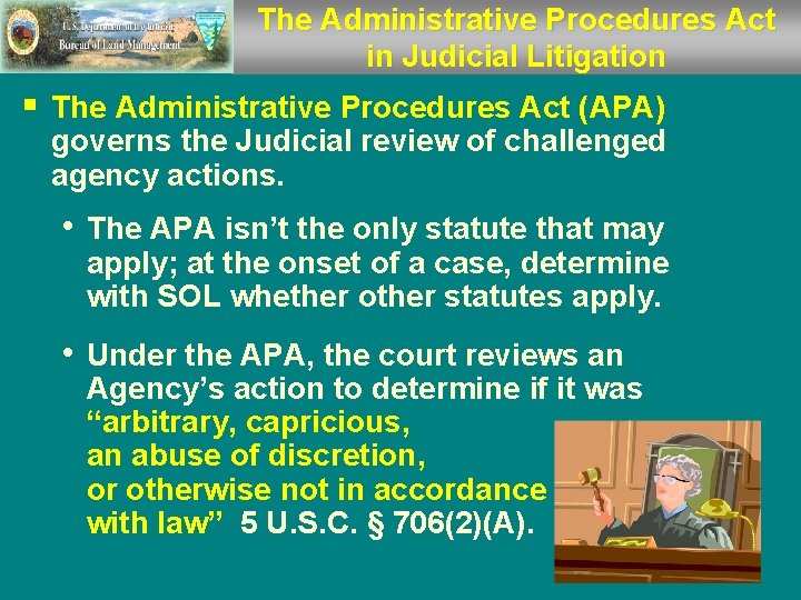 The Administrative Procedures Act in Judicial Litigation § The Administrative Procedures Act (APA) governs