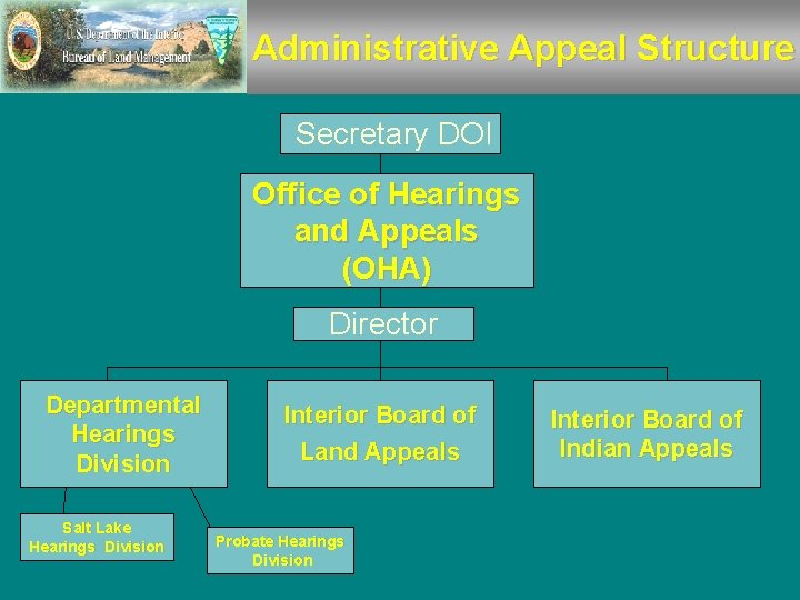 Administrative Appeal Structure Secretary DOI Office of Hearings and Appeals (OHA) Director Departmental Hearings