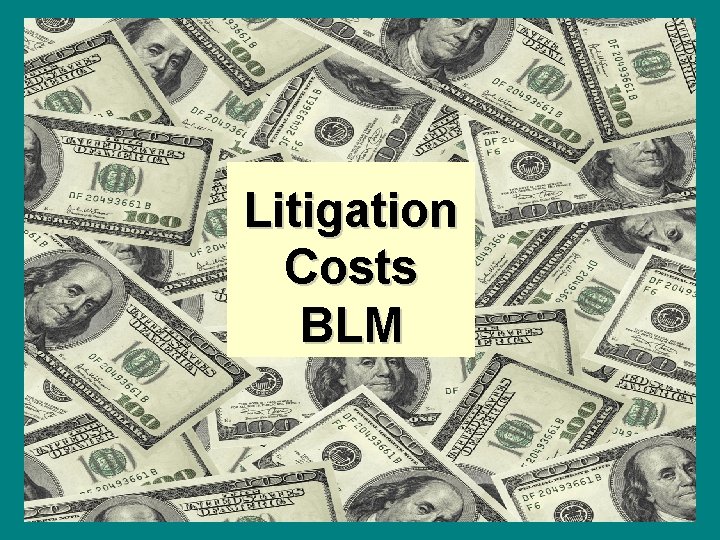 Litigation Costs BLM 