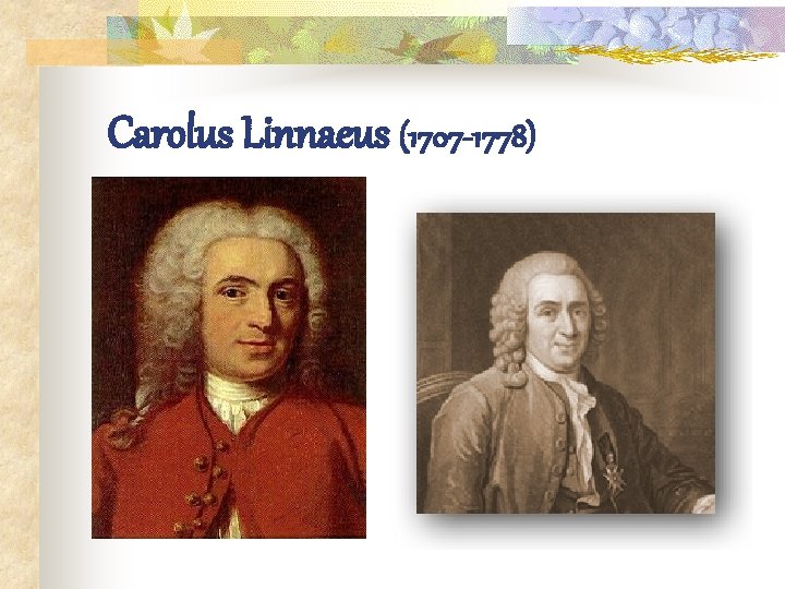 Carolus Linnaeus (1707 -1778) 