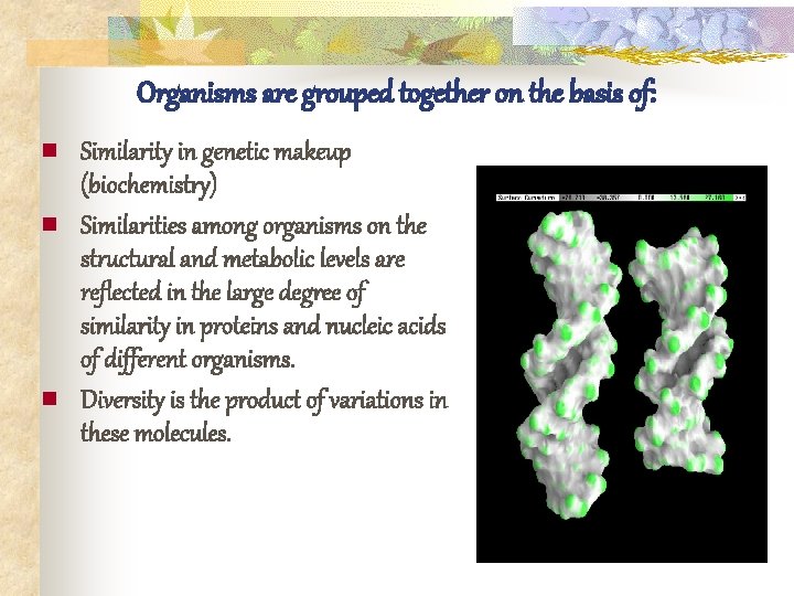 Organisms are grouped together on the basis of: n n n Similarity in genetic